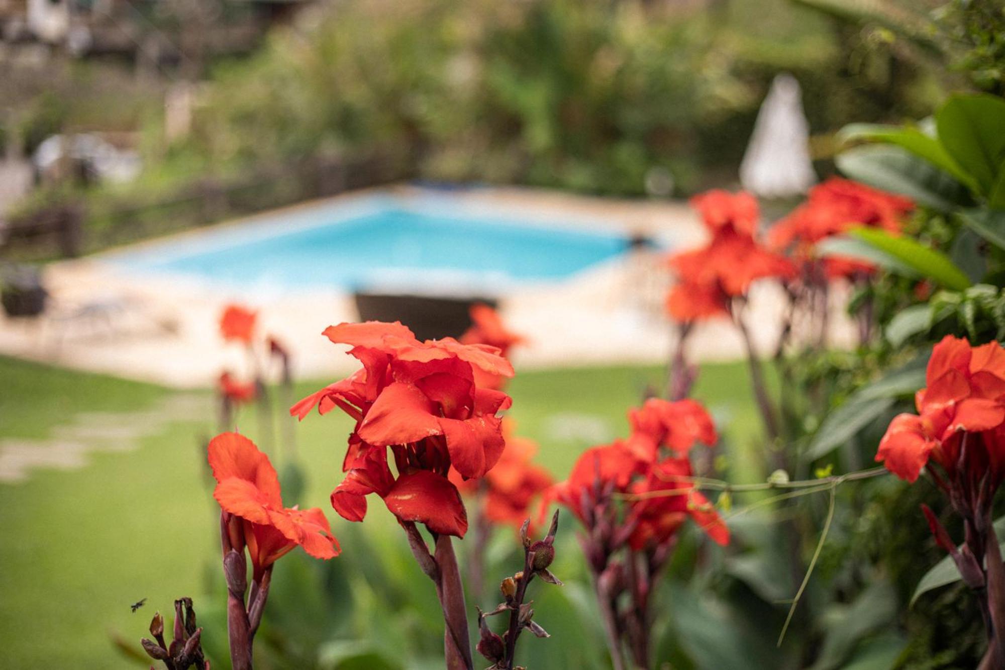 Hibiscus Pensão 3*