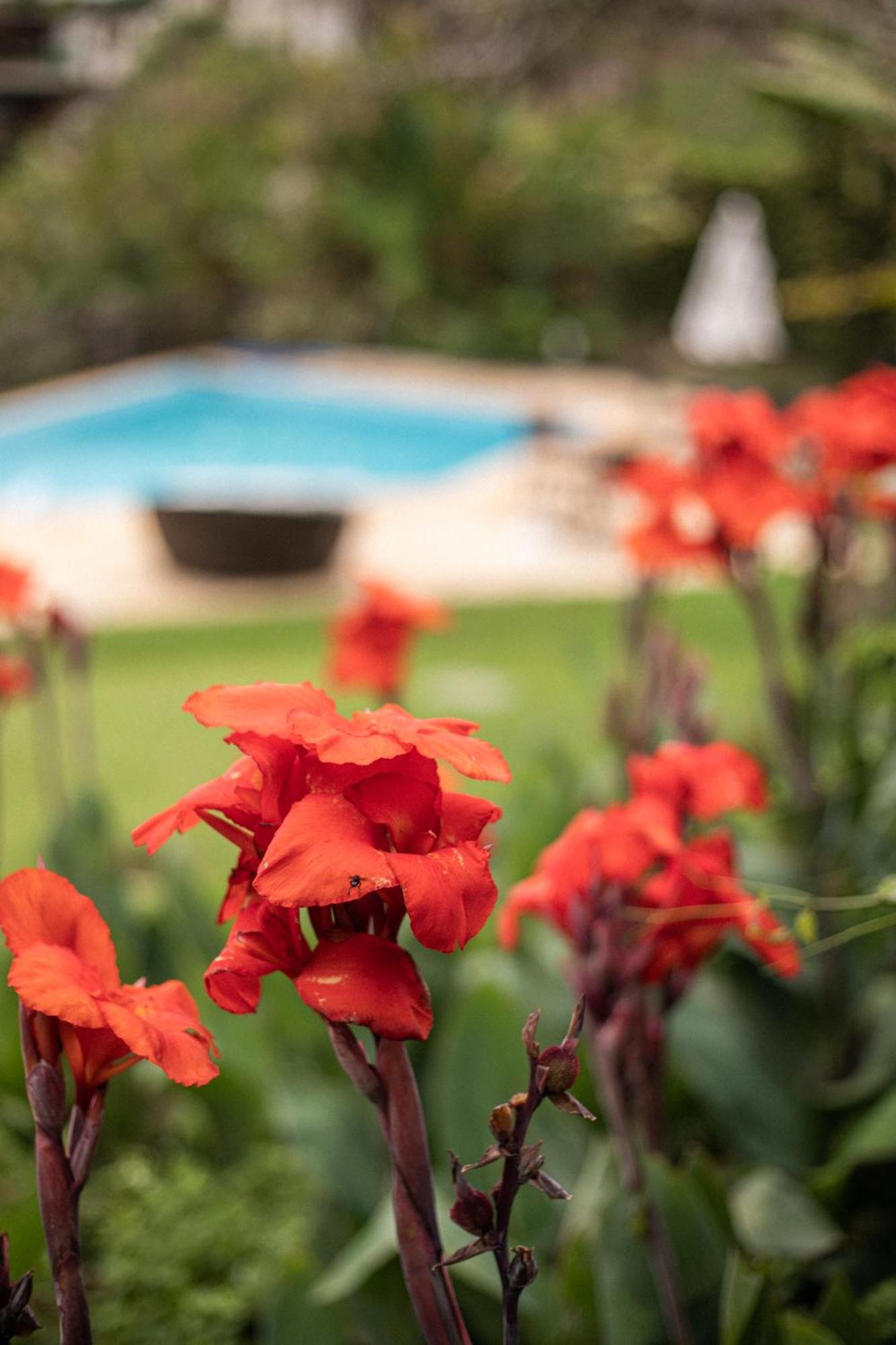Hibiscus 3* Búzios